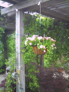 Figure 2: Hanging planter, controlled by pulley system so that residents can access it from their wheelchair.